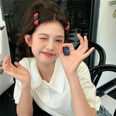 手持绣春刀，请奸佞赴死